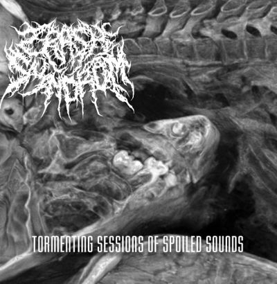Crash Syndrom - Tormenting Sessions Of Spoiled Sounds