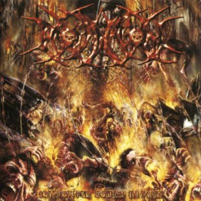 Profanation - Contorted Bodies in Pain