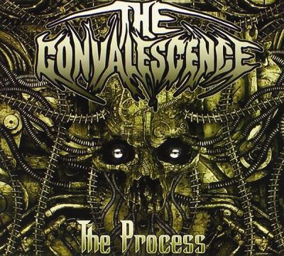The Convalescence - The Process