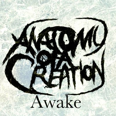 Anatomy Of A Creation - Awake
