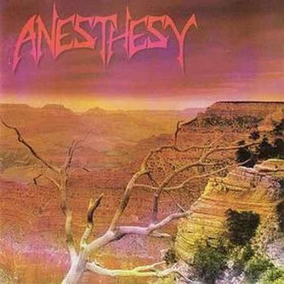 Anesthesy - The Fifth Season