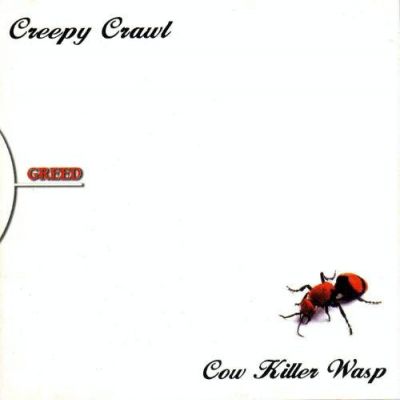 Creepy Crawl - Cow Killer Wasp