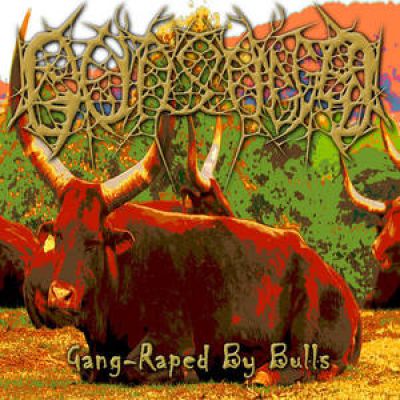 Gutsnagged - Gang-Raped By Bulls