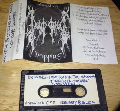 Dripping - Immersed In The Hologram Of Infested Cerebral Turbulation