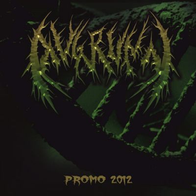 Avgrunn - Promo 2012
