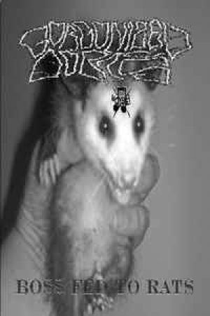Gorgonized Dorks - Boss Fed To Rats