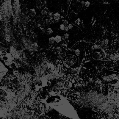 Primitive Man / Unearthly Trance - Primitive Man / Unearthly Trance