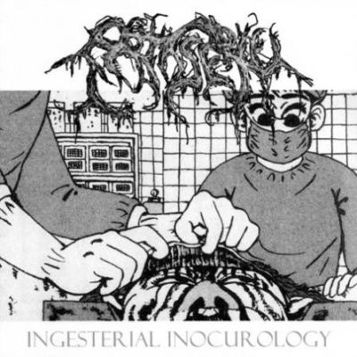 Patisserie - Ingesterial Inocurology