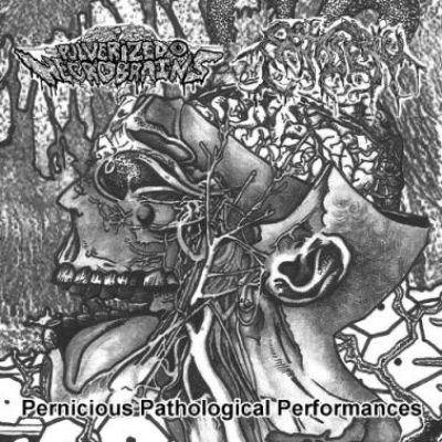 Patisserie - Pernicious Pathological Performances