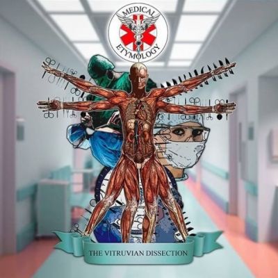 Medical Etymology - The Vitruvian Dissection