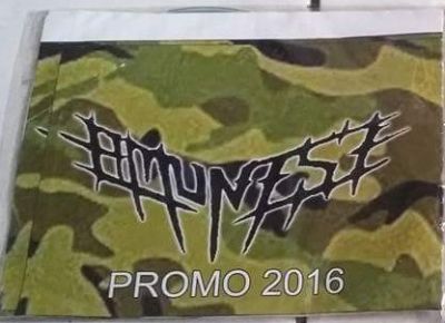 Amunisi - Promo 2016