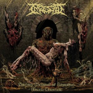 Ingested - Stinking Cesspool of Liquified Human Remnants
