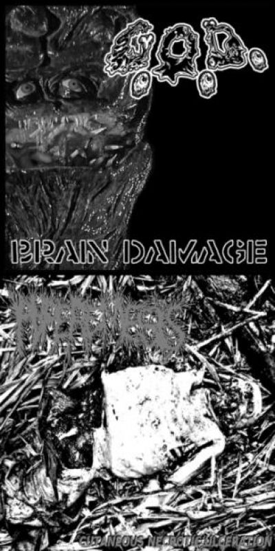 Grotesque Organ Defilement - Brain Damage / Cutaneous Necrotic Ulceration