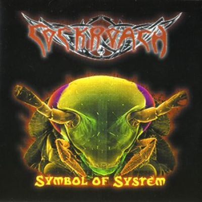 Cockroach - Symbol of System