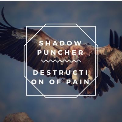 Shadow Puncher - Destruction of Pain