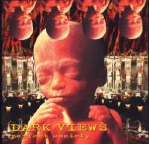 Dark Views - Perfect Society