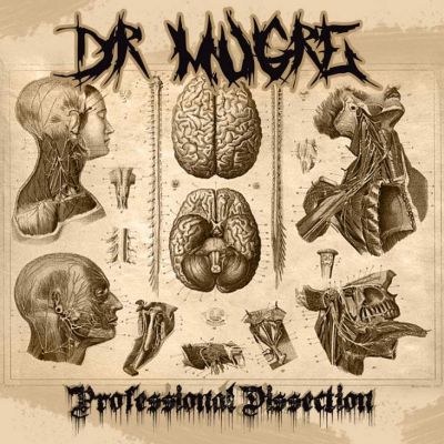 Dr Mugre - Professional Dissection