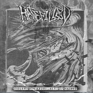 Hatefilled - Violent Disembowelment of Hatred