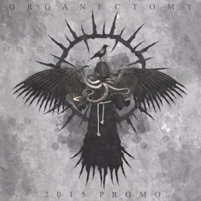 Organectomy - 2015 Promo / At the Mercy of the Divine
