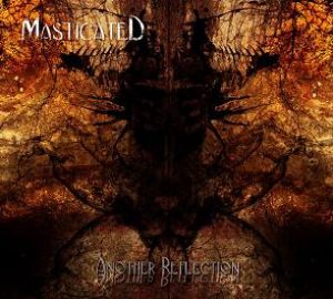 Masticated - Another Reflection