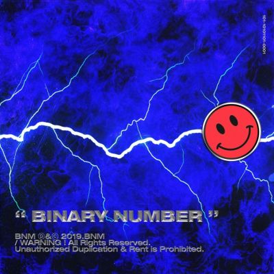Binary Number - Binary Number