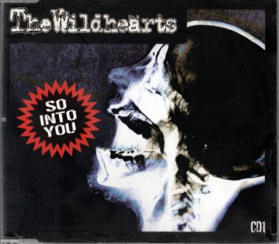The Wildhearts - So Into You (Part 1)