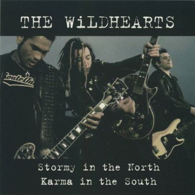 The Wildhearts - Stormy in the North - Karma in the South (Part 2)