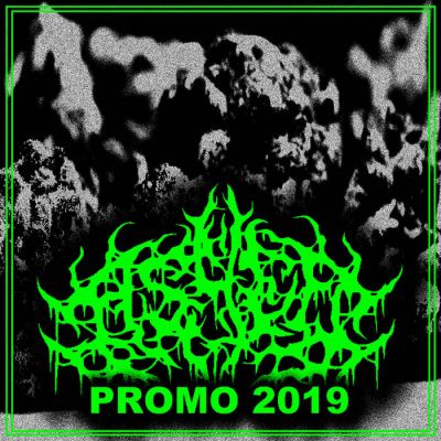 Ashed - Promo 2019