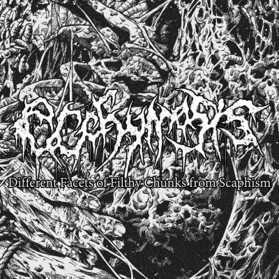 Ecchymosis - Different Facets of Filthy Chunks from Scaphism
