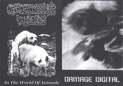 Necrocannibalistic Vomitorium - In the World of Animals / Untitled