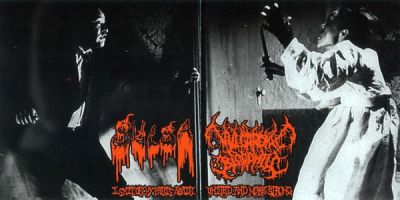 Sulsa / Vulgaroyal Bloodhill - United and More Strong / I Shit on My Pants Again