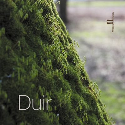 Duir - Tribe