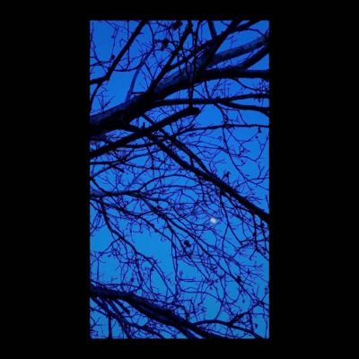 Oculi Melancholiarum - Noche azul