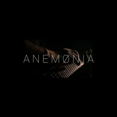 Into Thin Air - Anemonia