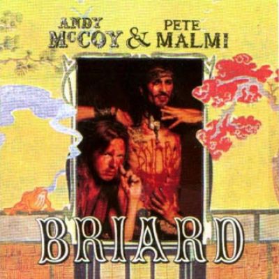 Andy McCoy - Briard