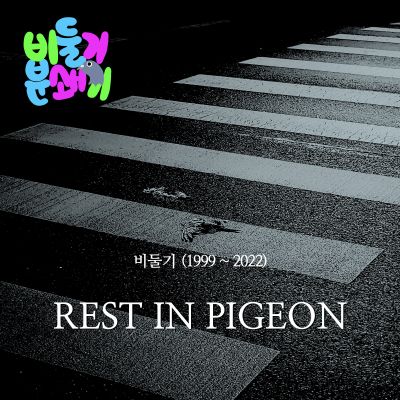 Pigeon Grinder - Rest in Pigeon