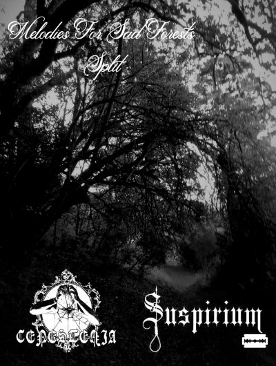 Suspirium - Melodies for sad forests