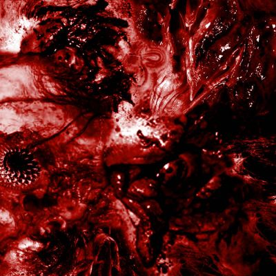 Excrescence - Inescapable Anatomical Deterioration