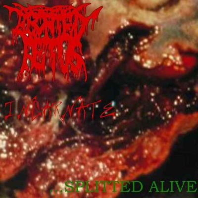 Aborted Fetus - Splitted Alive
