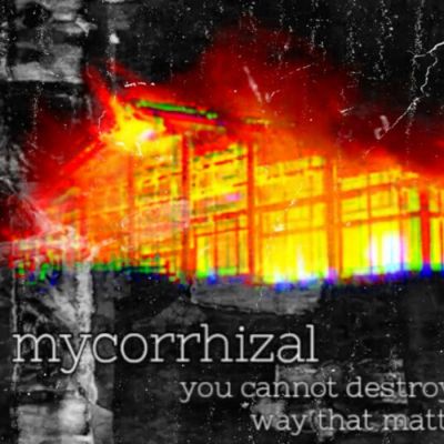 Mycorrhizal - You Cannot Destroy Us in a Way That Matters