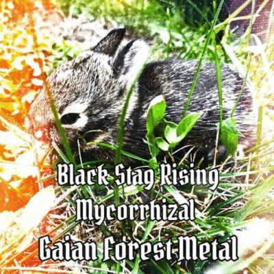 Mycorrhizal - Gaian Forest Metal