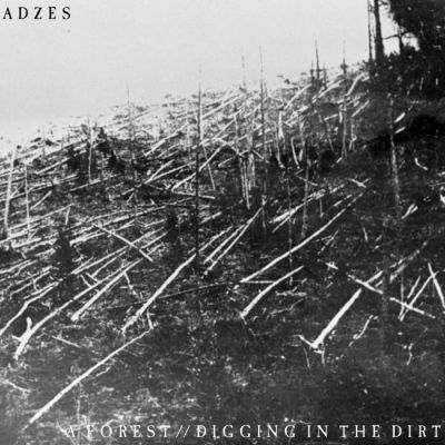 Adzes - A Forest // Digging in the Dirt