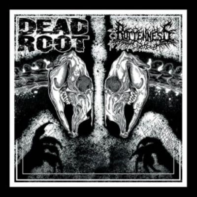 Rottenness - Dead Root / Rottenness