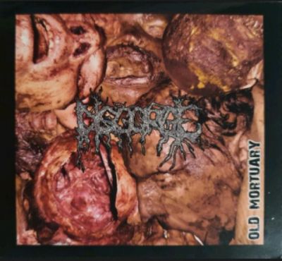 Disgorge - Old Mortuary