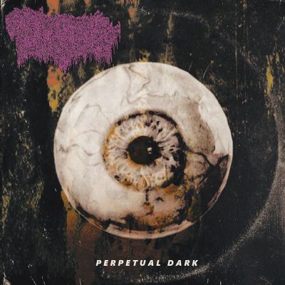 Cryptic Rising - Perpetual Dark
