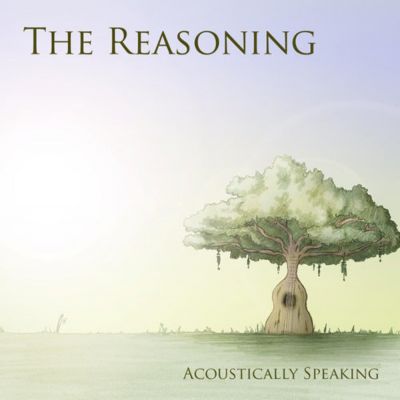 The Reasoning - Acoustically Speaking