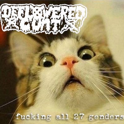 Deflowered Cunt - Fucking All 27 Genders