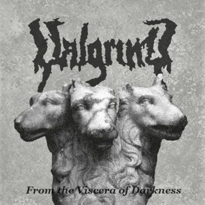 Valgrind - From the Viscera of Darkness