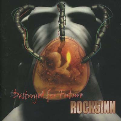 ROCKSINN - Destroyed for Future
