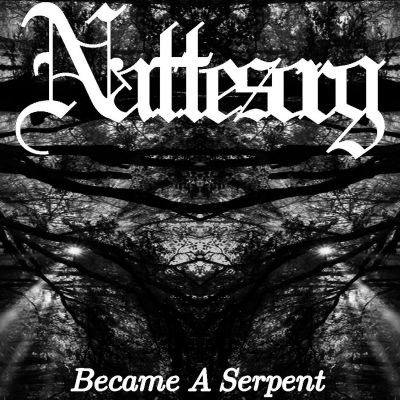 Nattesorg - Became a Serpent